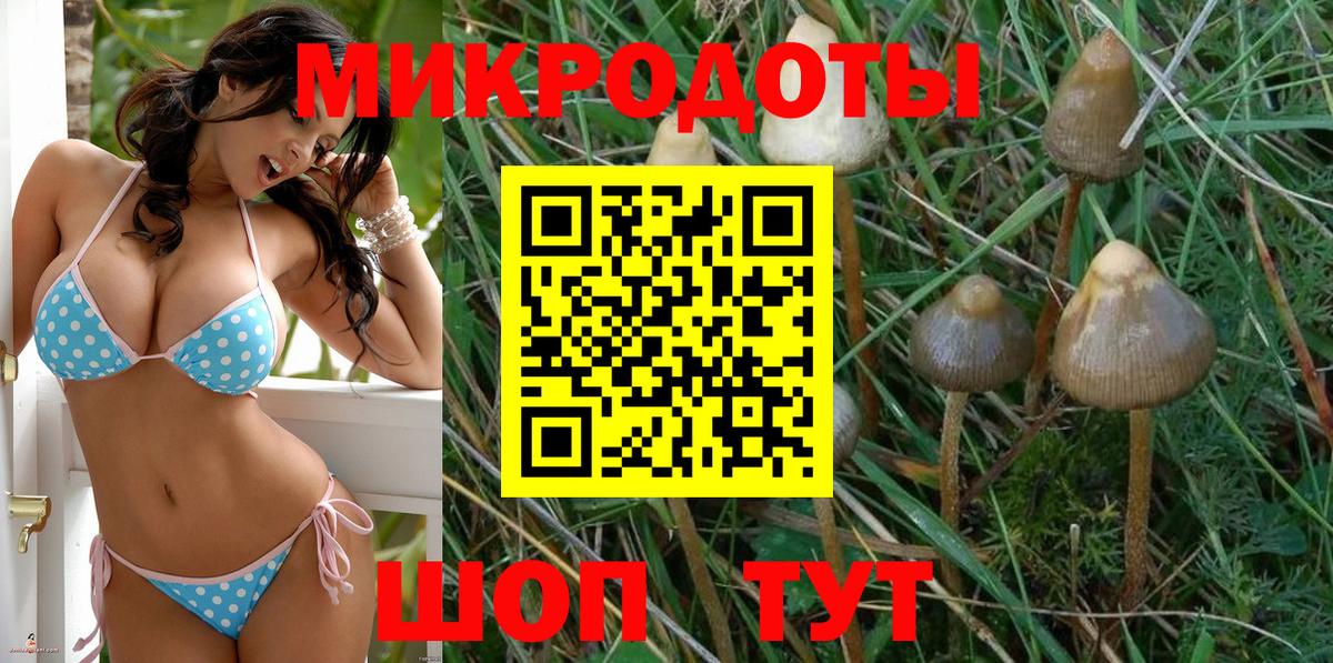 Псилоцибиновые грибы MAGIC MUSHROOMS Троицк