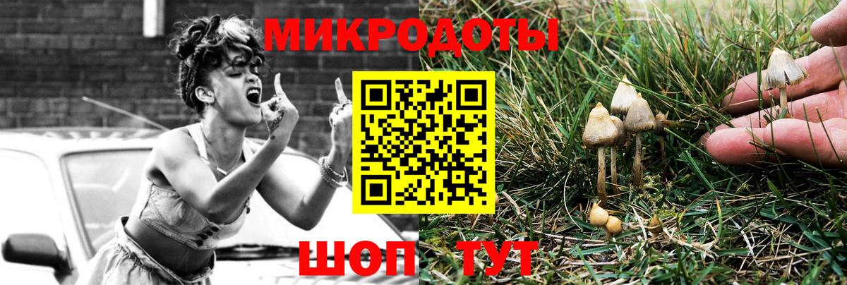 Троицк  Псилоцибиновые грибы мицелий  как найти закладки  Вход с VPN 